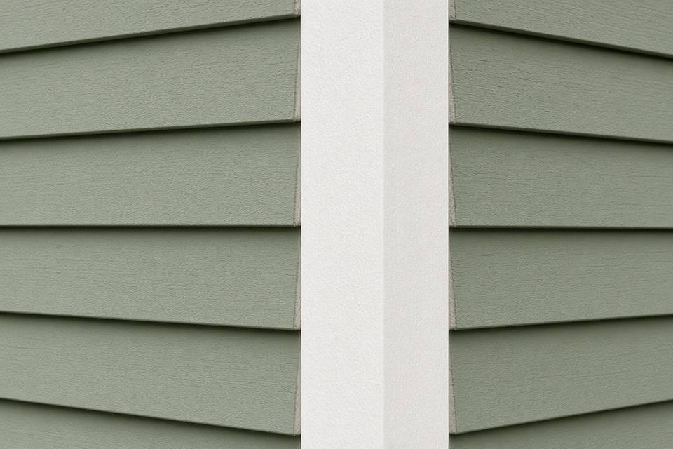 Green lap siding meeting a white corner trim board