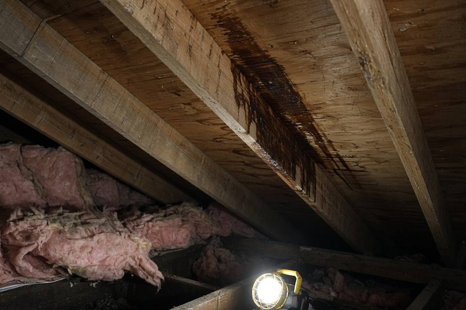 Attic rafters with a dark water stain, seen by work light