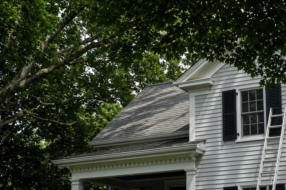 White colonial under heavy tree canopy with a ladder against the wall