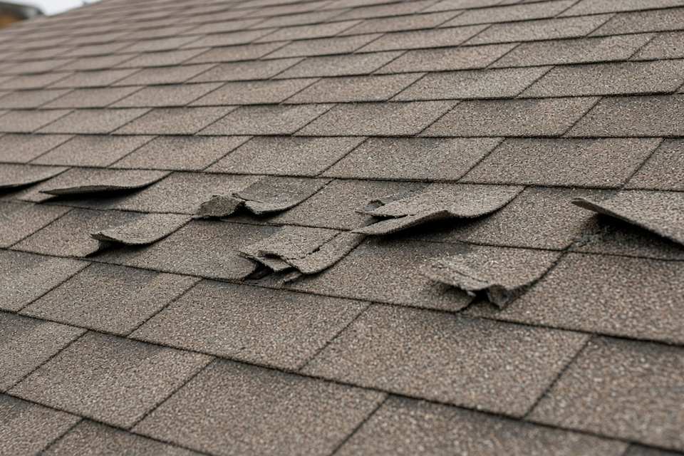 Lifted and torn shingle tabs on a wind-damaged roof